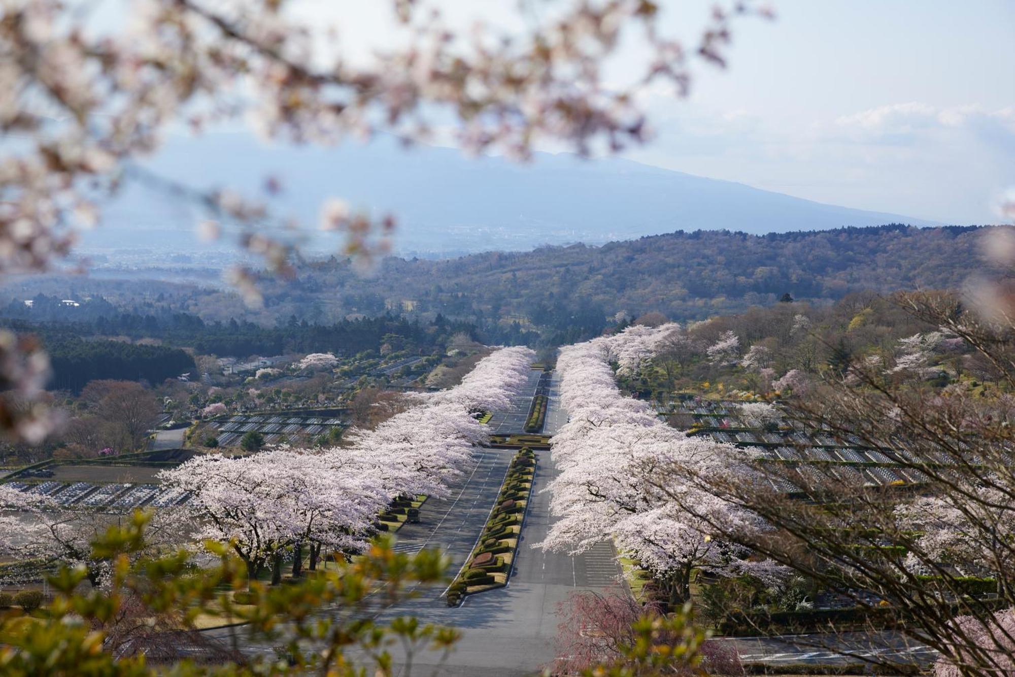 Fuji Speedway Hotel, In The Unbound Collection By Hyatt Oyama  Exterior photo